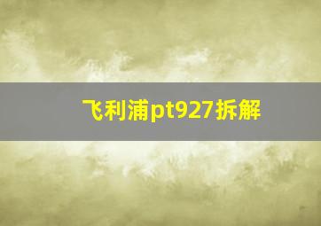 飞利浦pt927拆解