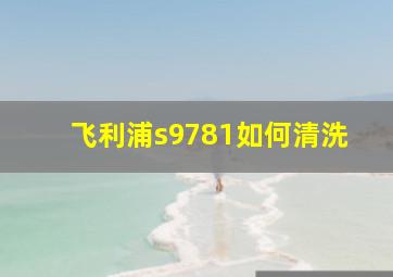 飞利浦s9781如何清洗