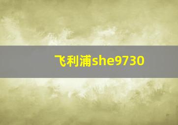 飞利浦she9730