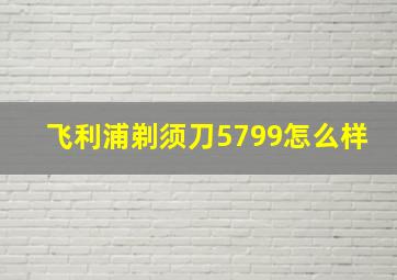 飞利浦剃须刀5799怎么样