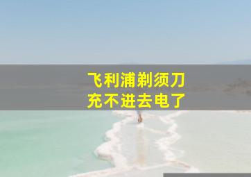 飞利浦剃须刀充不进去电了