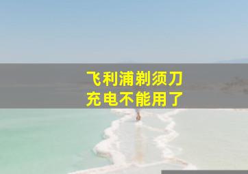 飞利浦剃须刀充电不能用了