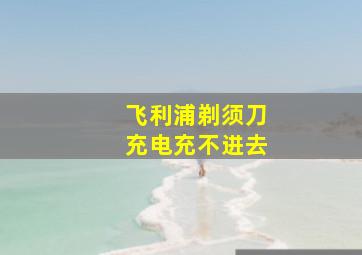 飞利浦剃须刀充电充不进去