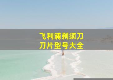 飞利浦剃须刀刀片型号大全