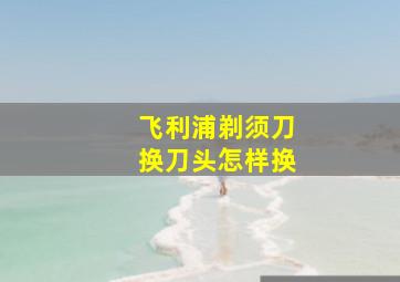 飞利浦剃须刀换刀头怎样换