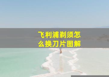 飞利浦剃须怎么换刀片图解