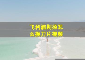 飞利浦剃须怎么换刀片视频