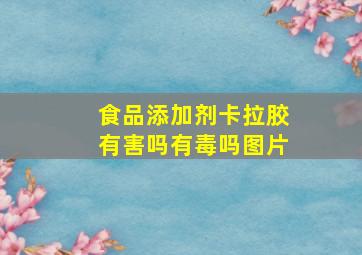 食品添加剂卡拉胶有害吗有毒吗图片