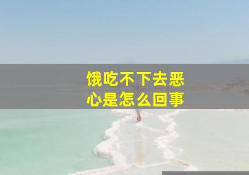 饿吃不下去恶心是怎么回事