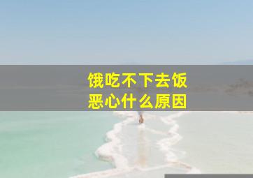 饿吃不下去饭恶心什么原因