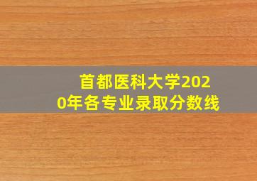 首都医科大学2020年各专业录取分数线