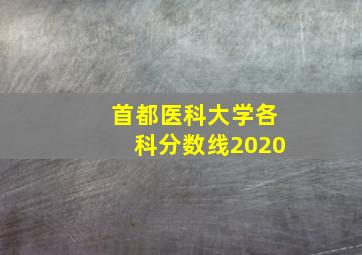 首都医科大学各科分数线2020