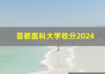 首都医科大学收分2024