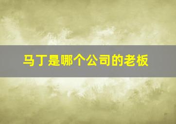 马丁是哪个公司的老板