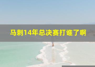 马刺14年总决赛打谁了啊