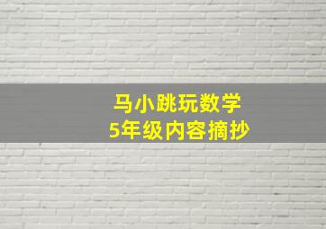 马小跳玩数学5年级内容摘抄