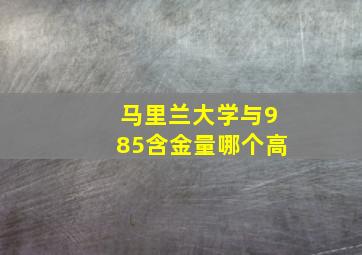 马里兰大学与985含金量哪个高