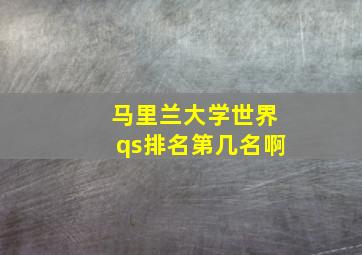 马里兰大学世界qs排名第几名啊