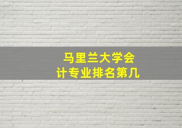 马里兰大学会计专业排名第几