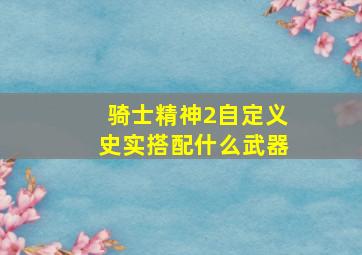 骑士精神2自定义史实搭配什么武器