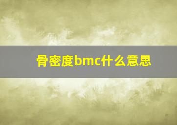 骨密度bmc什么意思