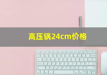 高压锅24cm价格