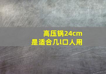 高压锅24cm是适合几l口人用