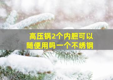 高压锅2个内胆可以随便用吗一个不绣钢