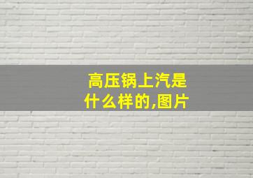 高压锅上汽是什么样的,图片