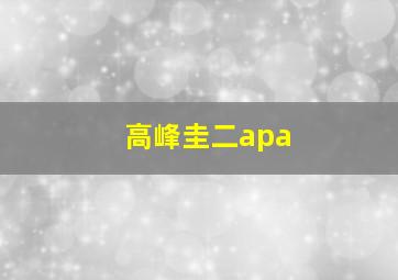 高峰圭二apa