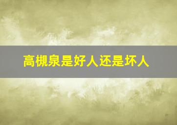 高槻泉是好人还是坏人