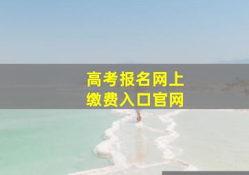 高考报名网上缴费入口官网