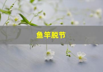 鱼竿脱节