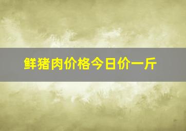 鲜猪肉价格今日价一斤