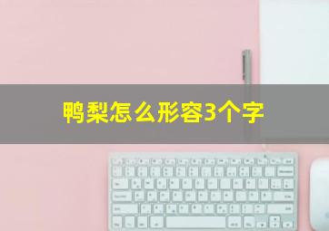 鸭梨怎么形容3个字