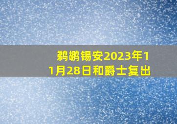 鹈鹕锡安2023年11月28日和爵士复出