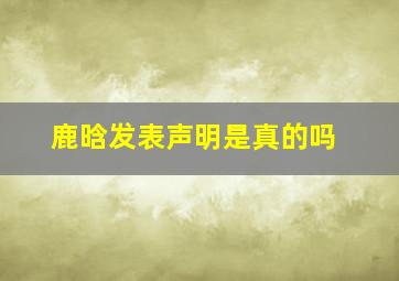 鹿晗发表声明是真的吗