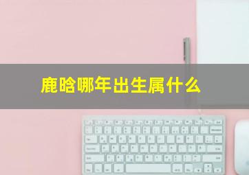 鹿晗哪年出生属什么