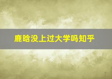 鹿晗没上过大学吗知乎