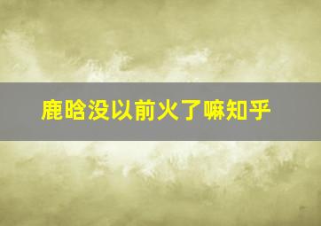 鹿晗没以前火了嘛知乎