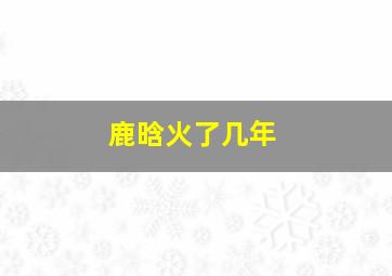 鹿晗火了几年