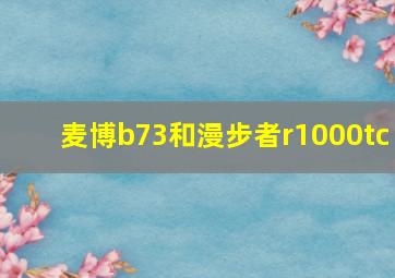 麦博b73和漫步者r1000tc