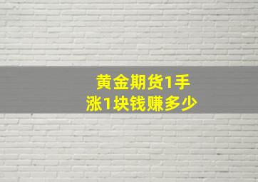 黄金期货1手涨1块钱赚多少