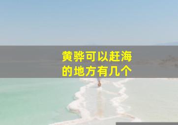 黄骅可以赶海的地方有几个