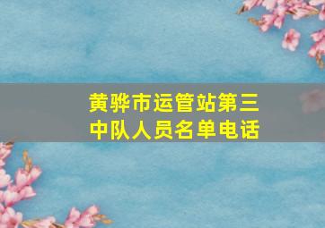 黄骅市运管站第三中队人员名单电话