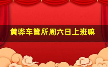 黄骅车管所周六日上班嘛