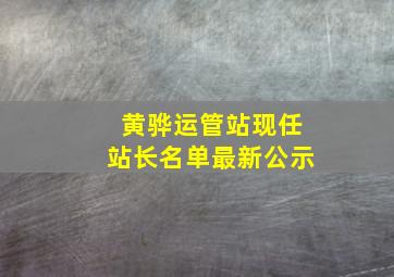 黄骅运管站现任站长名单最新公示