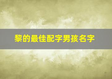 黎的最佳配字男孩名字