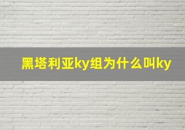 黑塔利亚ky组为什么叫ky