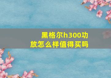 黑格尔h300功放怎么样值得买吗